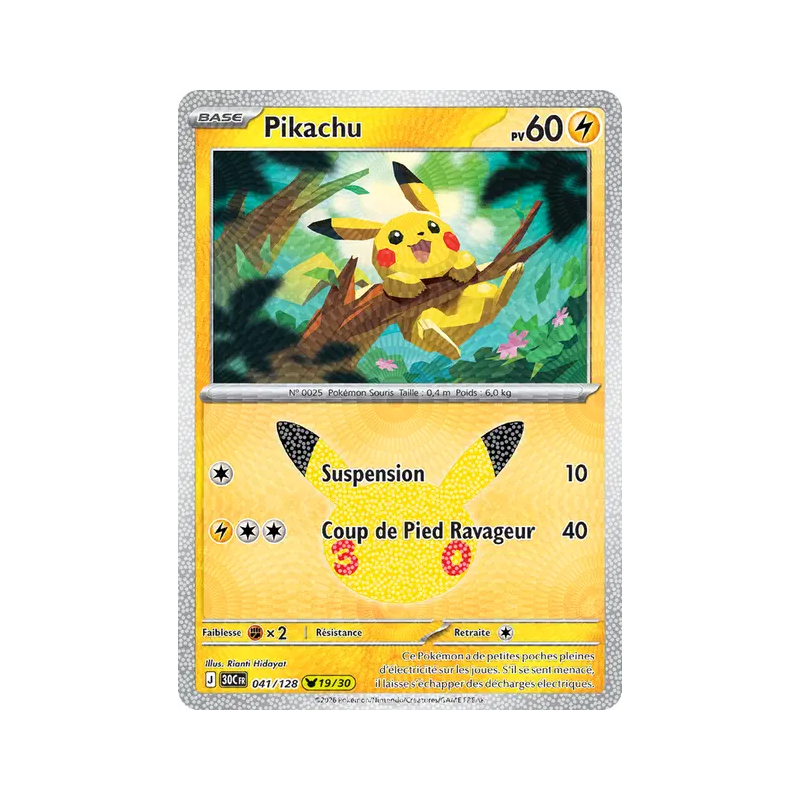 Pikachu 041/103