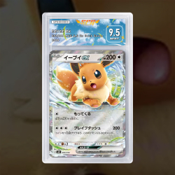 Gradation Évoli 009/019 Full Art | SFG Grading