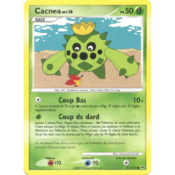 Cacnea 67/127