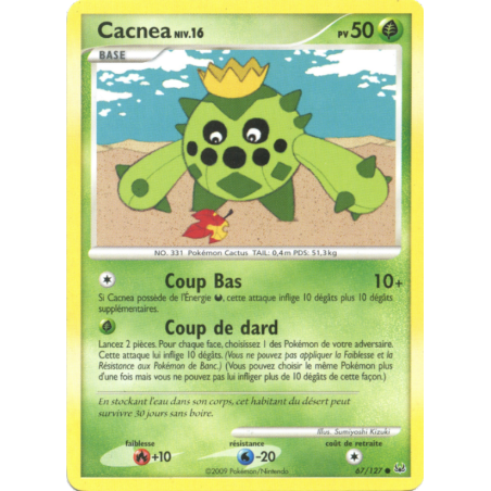 Cacnea 67/127