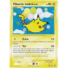 Pikachu volant Niv. 12 113/111