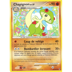 Chapignon 52/147