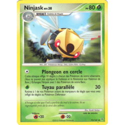 Ninjask 73/147