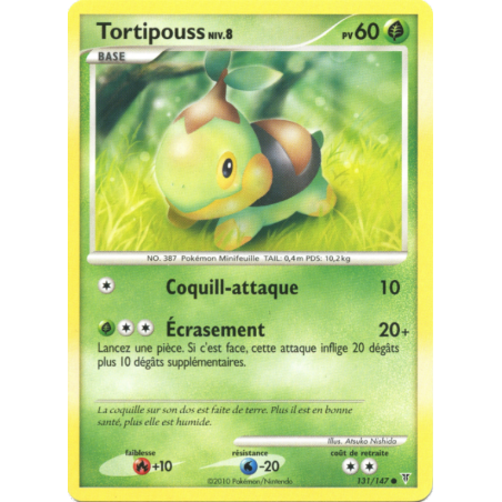 Tortipouss 131/147
