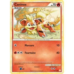 Caninos 65/123