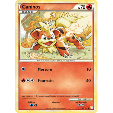 Caninos 65/123