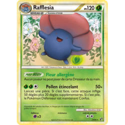 Rafflesia 24/90