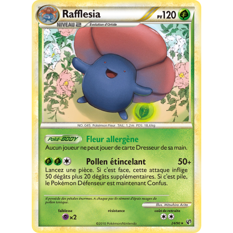 Rafflesia 24/90