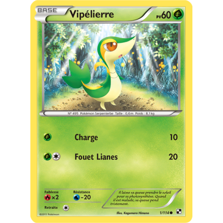 Vipélierre 1/114