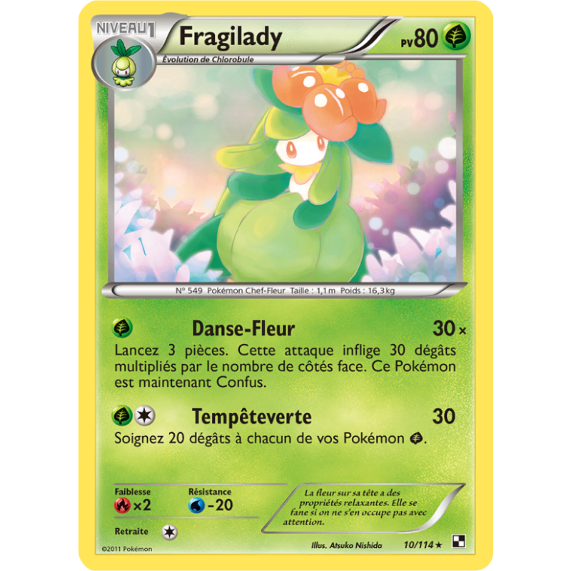 Fragilady 10/114