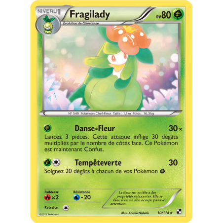 Fragilady 10/114