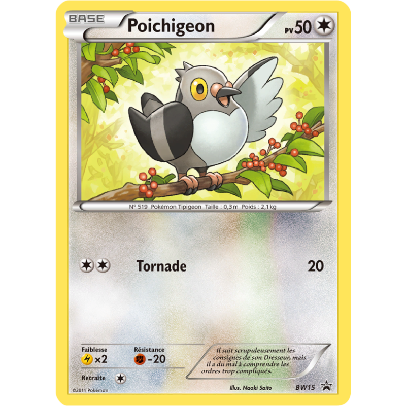 Poichigeon BW15/101