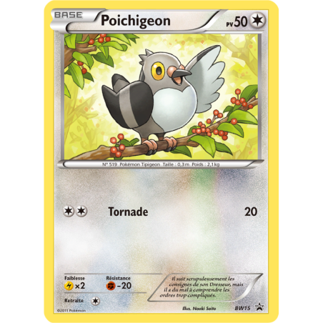 Poichigeon BW15/101