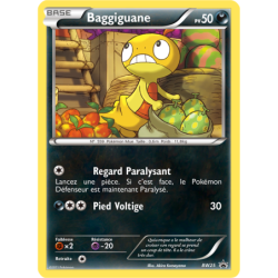 Baggiguane BW25/101