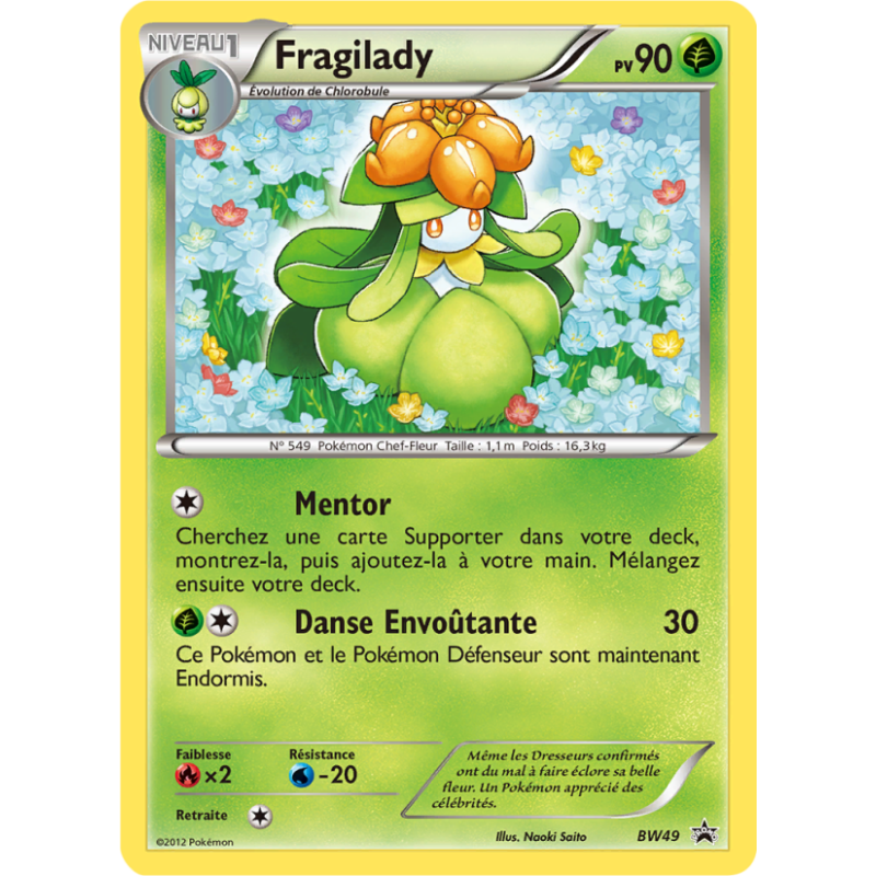 Fragilady BW49/101