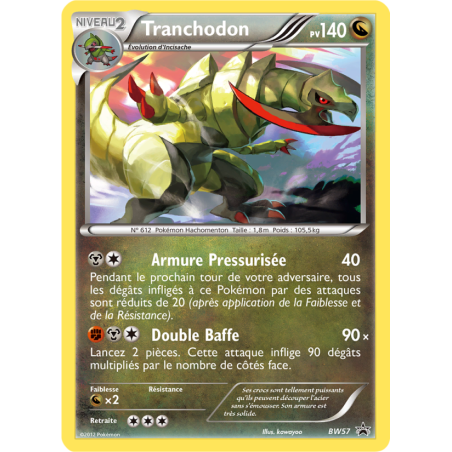 Tranchodon BW57/101