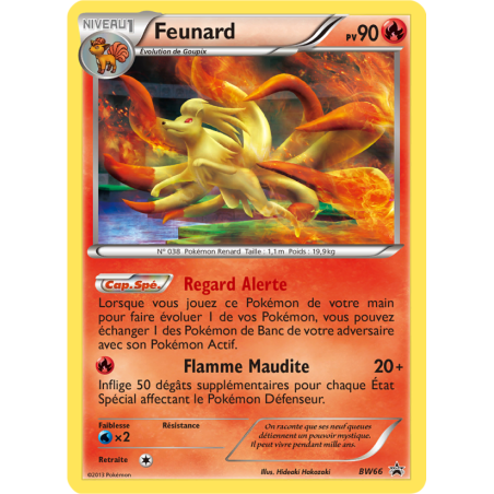 Feunard BW66/101