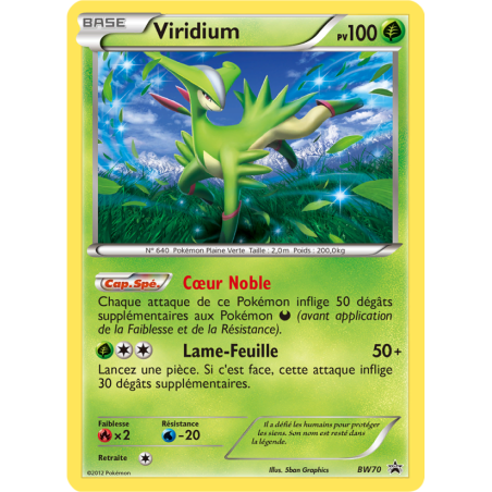 Viridium BW70/101