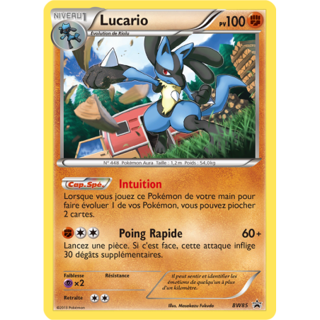 Lucario BW85/101