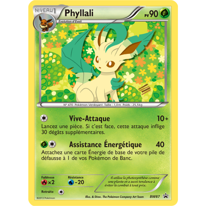 Phyllali BW87/101