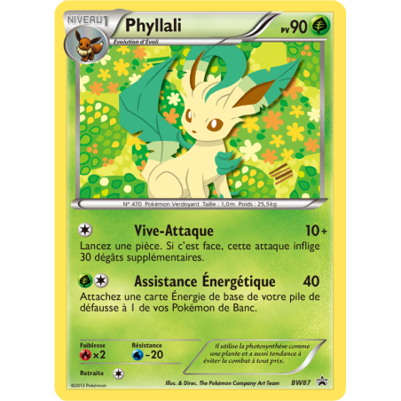 Phyllali BW87/101