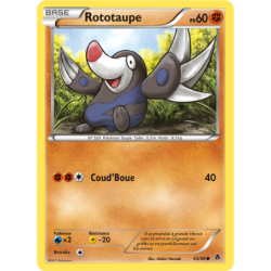 Rototaupe 55/98