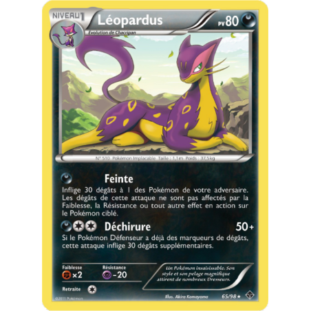 Léopardus 65/98
