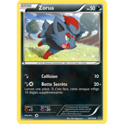 Zorua 66/98