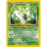Papilusion 19/75