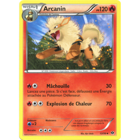 Arcanin 13/99