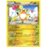 Raichu 40/99