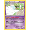 Gardevoir 57/99