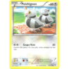 Poichigeon 123/149