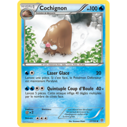 Cochignon 27/135