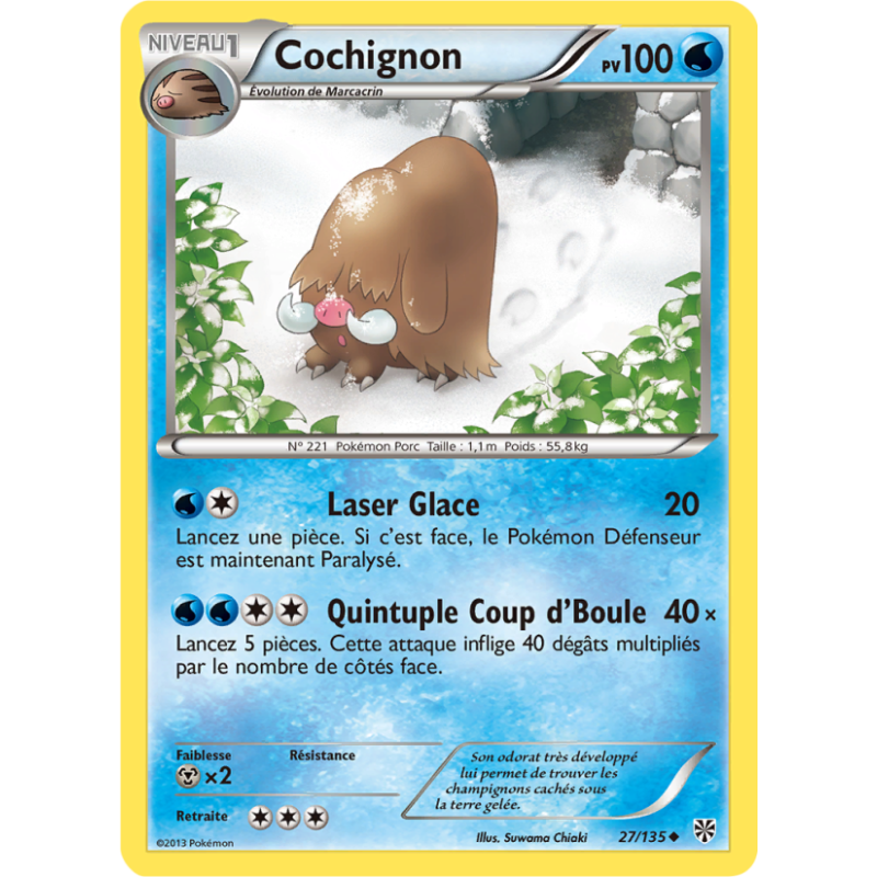 Cochignon 27/135