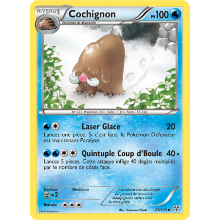 Cochignon 27/135