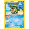 Ludicolo 31/135