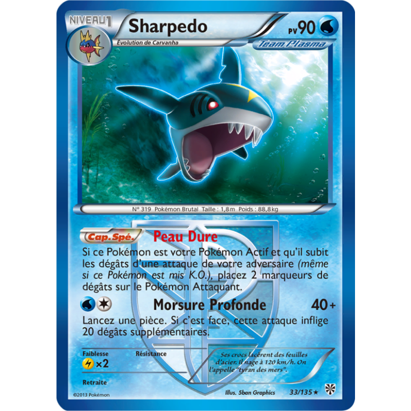 Sharpedo 33/135