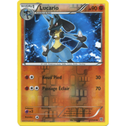 Lucario 77/135