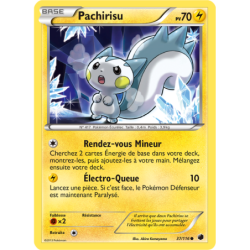 Pachirisu 37/116