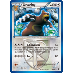 Ursaring 76/101