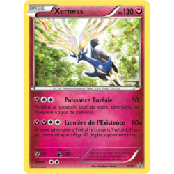 Xerneas XY31/211