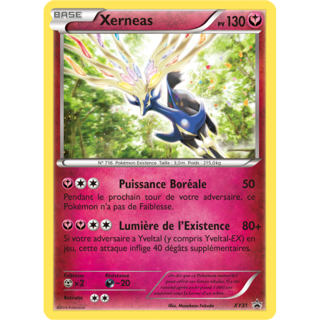 Xerneas XY31/211