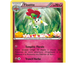 Floette 65/106