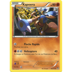 Kapoera 49/111