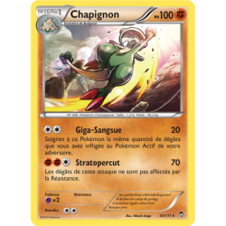 Chapignon 50/111