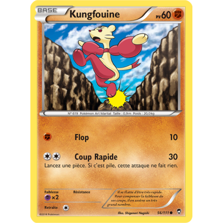 Kungfouine 56/111