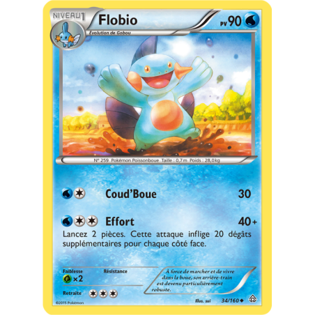 Flobio 34/160