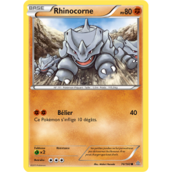 Rhinocorne 74/160