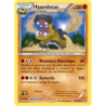 Hippodocus 88/160